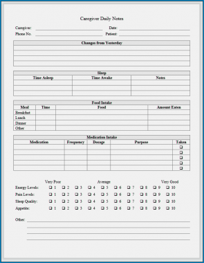 Caregiver Daily Log Templates